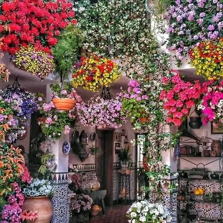 Διαμέρισμα Sweet Alegria-mascotas