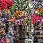 Lejlighed Sweet Alegria-mascotas