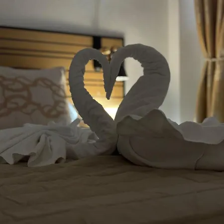 Sweet Alegria-mascotas Córdoba