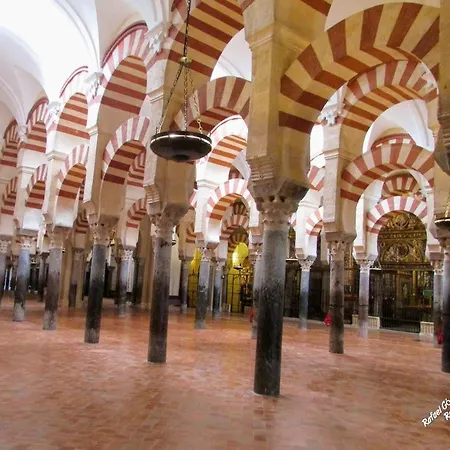 Sweet Alegria-mascotas *