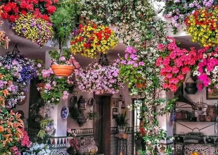 Apartamento Sweet Alegria-mascotas