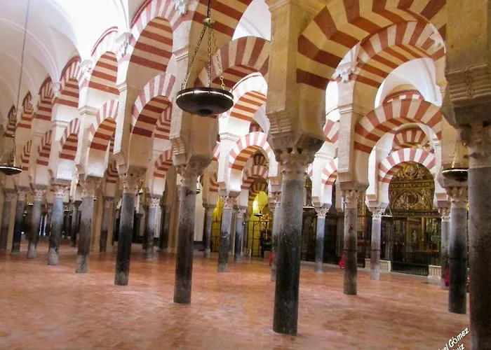 Sweet Alegria-mascotas *