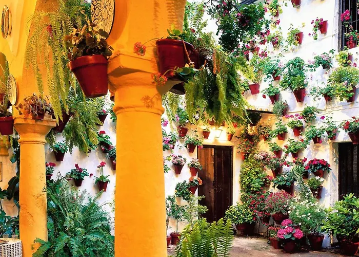 Sweet Alegria-mascotas Córdova