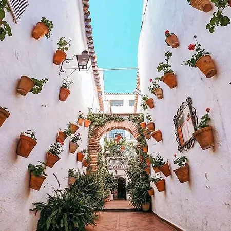 Sweet Alegria-mascotas *