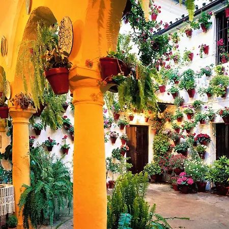 Sweet Alegria-mascotas 科爾多瓦